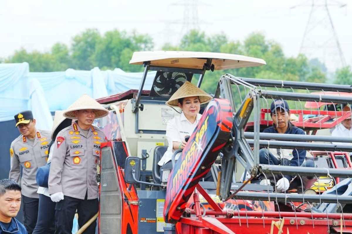 Dukung ketahanan pangan, Kapolri-Ketua Komisi IV pimpin panen jagung
