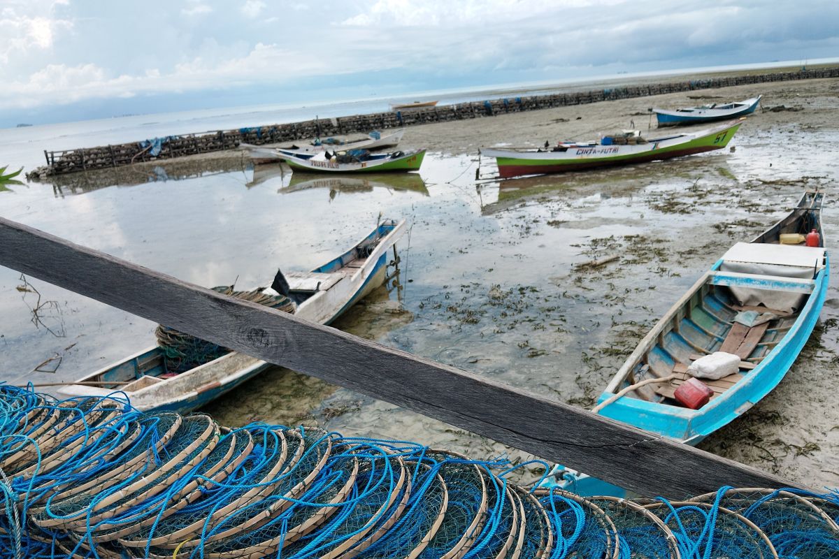 Pemerhati lingkungan: Masalah kepulauan perlu penanganan holistik
