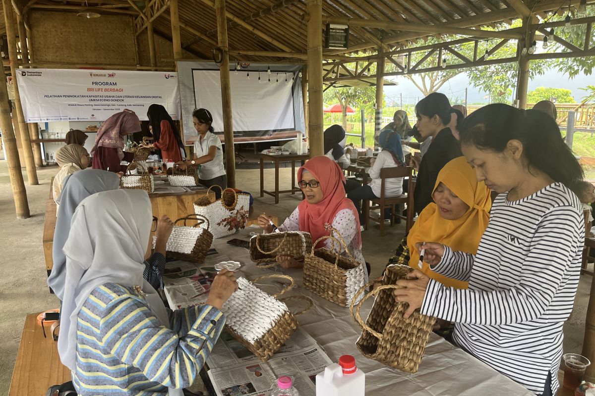BRI Life perkuat kapasitas perajin eceng gondok di Kabupaten Semarang