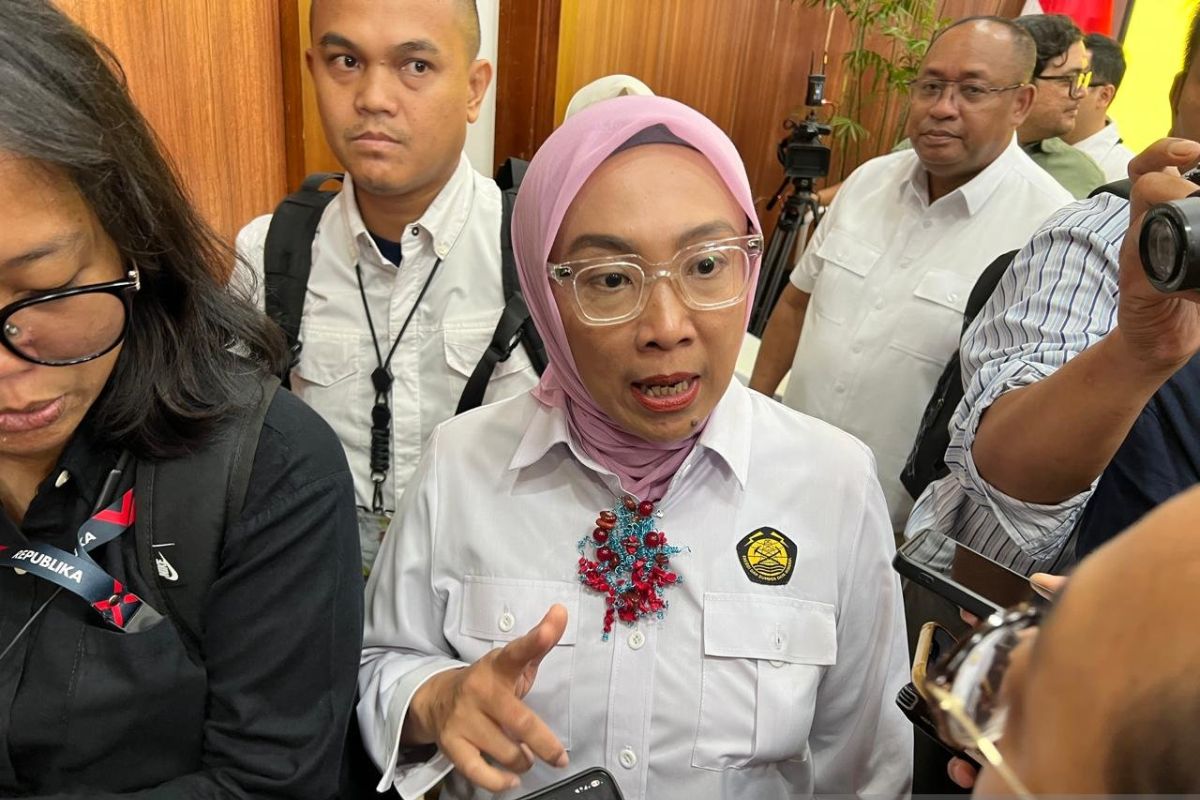 ESDM: Bauran energi bersih di ketenagalistrikan lampaui target RUKN