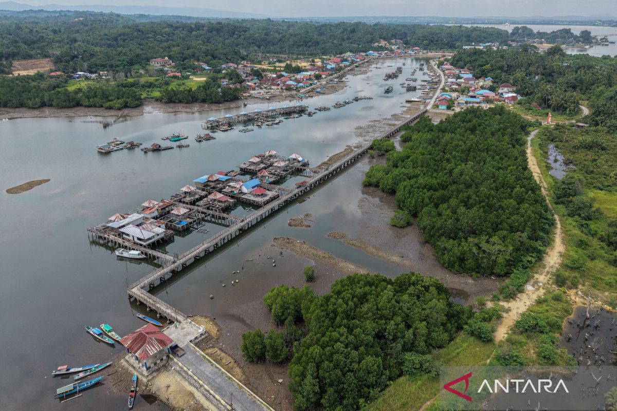 Pemerintah tetapkan Peta Mangrove Nasional 2025 seluas 3,45 juta ha