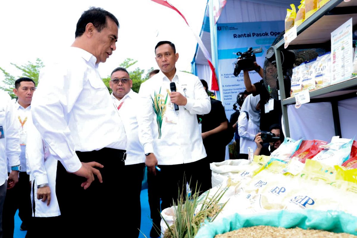 Bulog pecahkan rekor penyerapan gabah hingga kawal swasembada