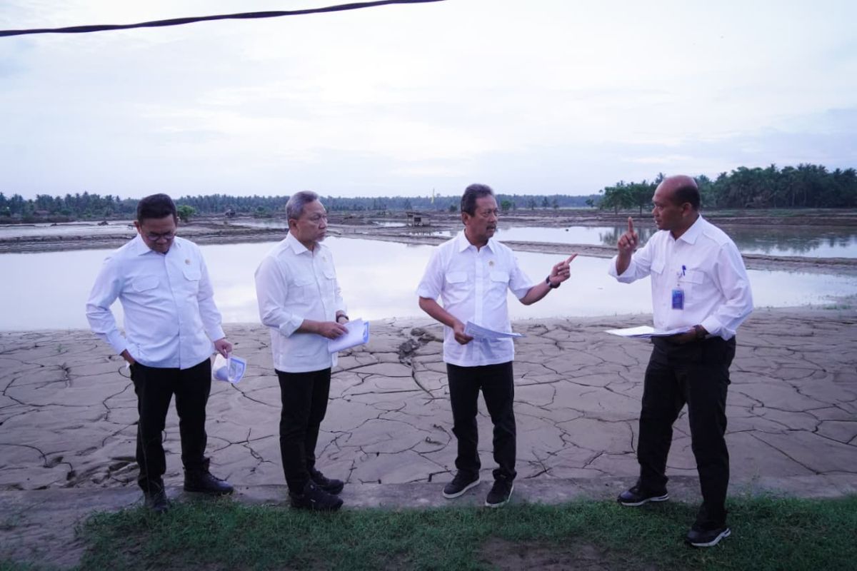 Pemerintah Identifikasi 30.000 Hektar Tambak Rusak Akibat Banjir Aceh