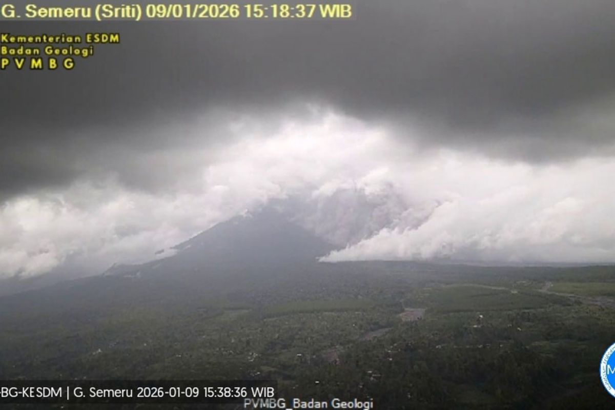 Mount Semeru erupts, sends hot cloud avalanche 4 km downhill