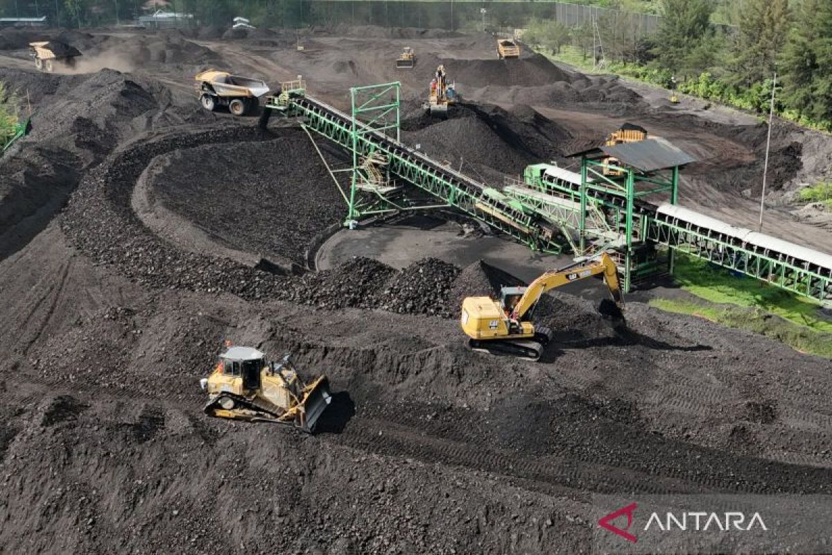 APBI ungkap ESDM pangkas produksi batu bara hingga 70 persen