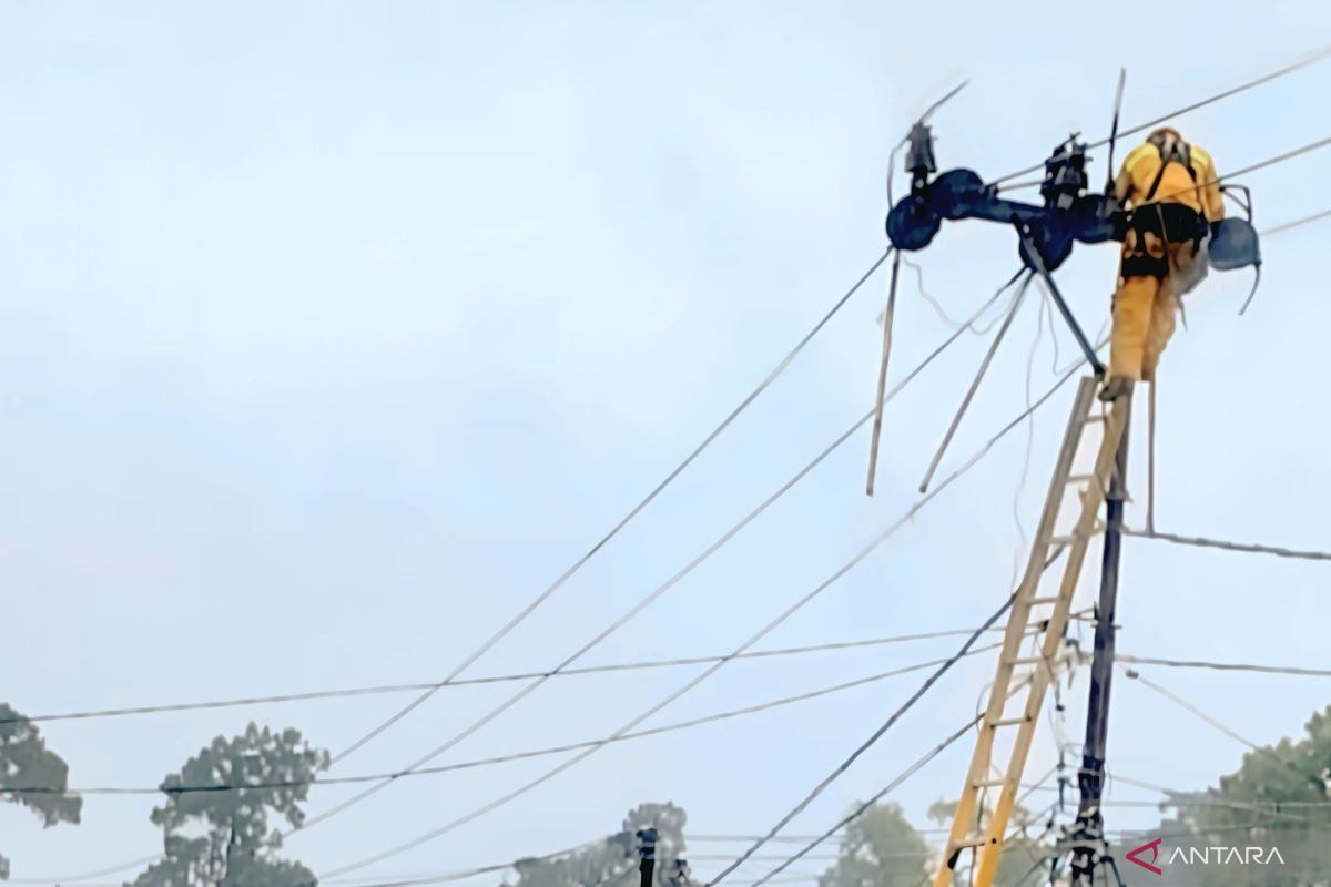 PLN pulihkan gangguan jaringan listrik di Lahat pasca bencana