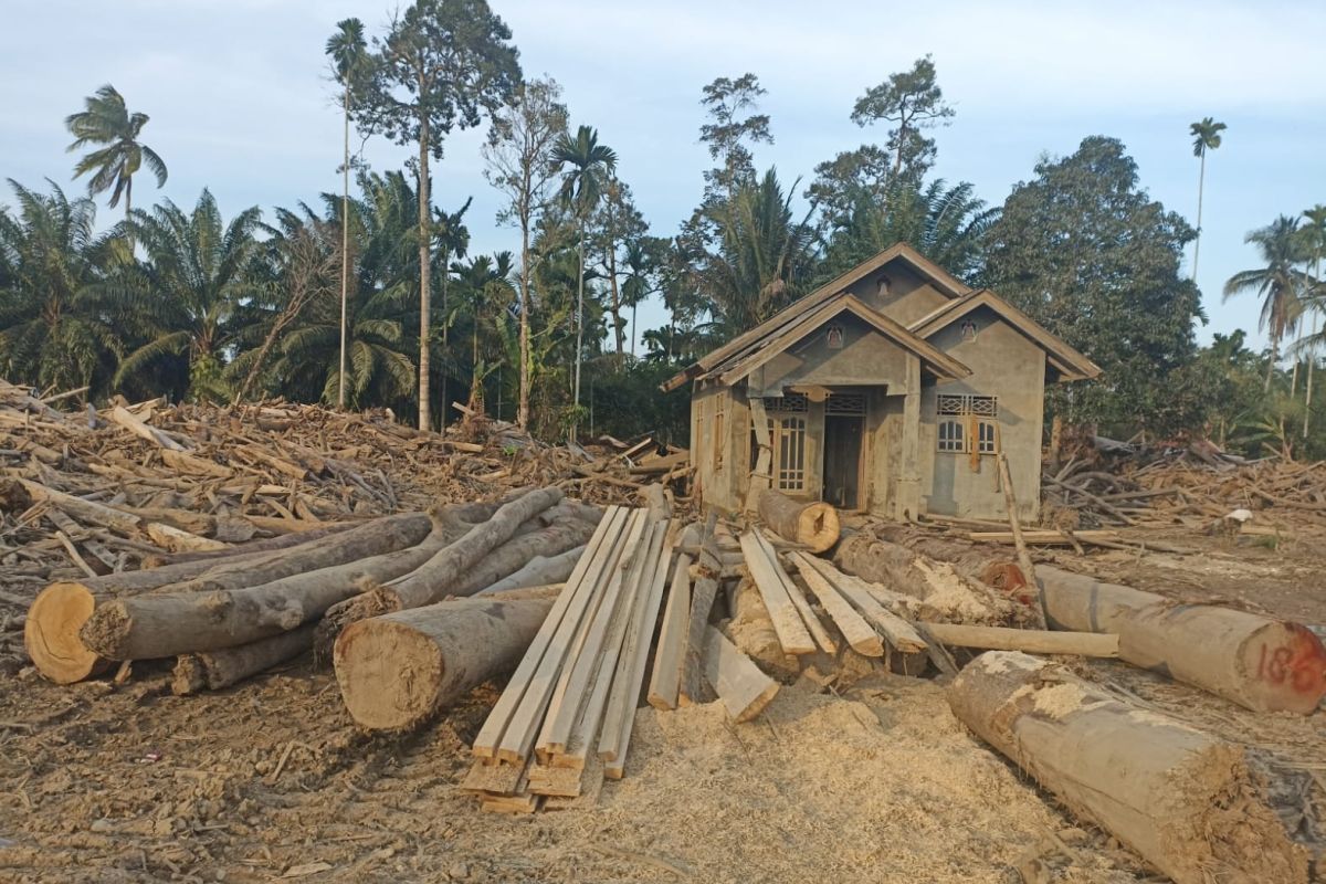 Kemenhut: 1.260 meter kubik kayu didata bagi pemanfaatan di Aceh Utara