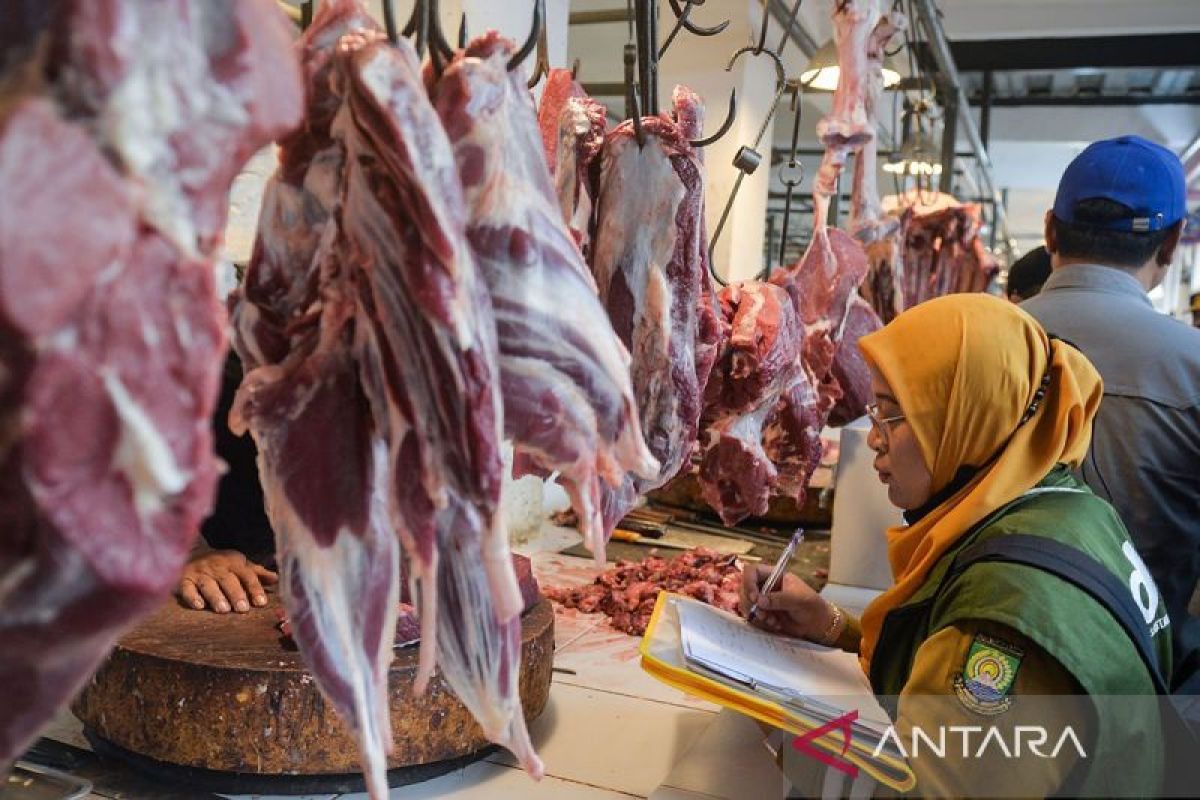 Pemerintah alokasikan 30 ribu ton kuota impor daging 2026 bagi swasta