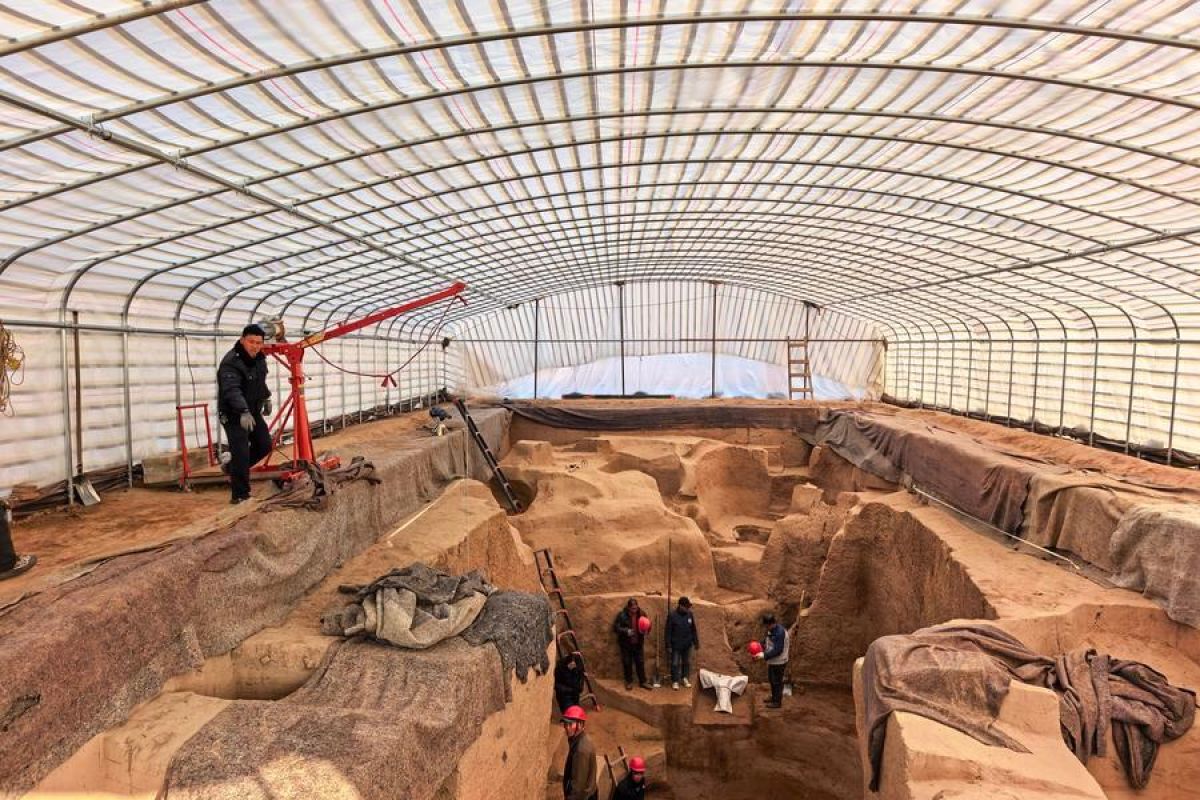Makam kerajaan ungkap koleksi satwa liar langka tertua di China