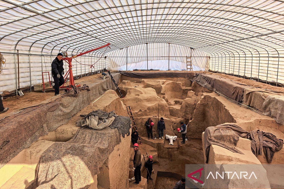 Makam kerajaan ungkap koleksi satwa liar langka tertua di China