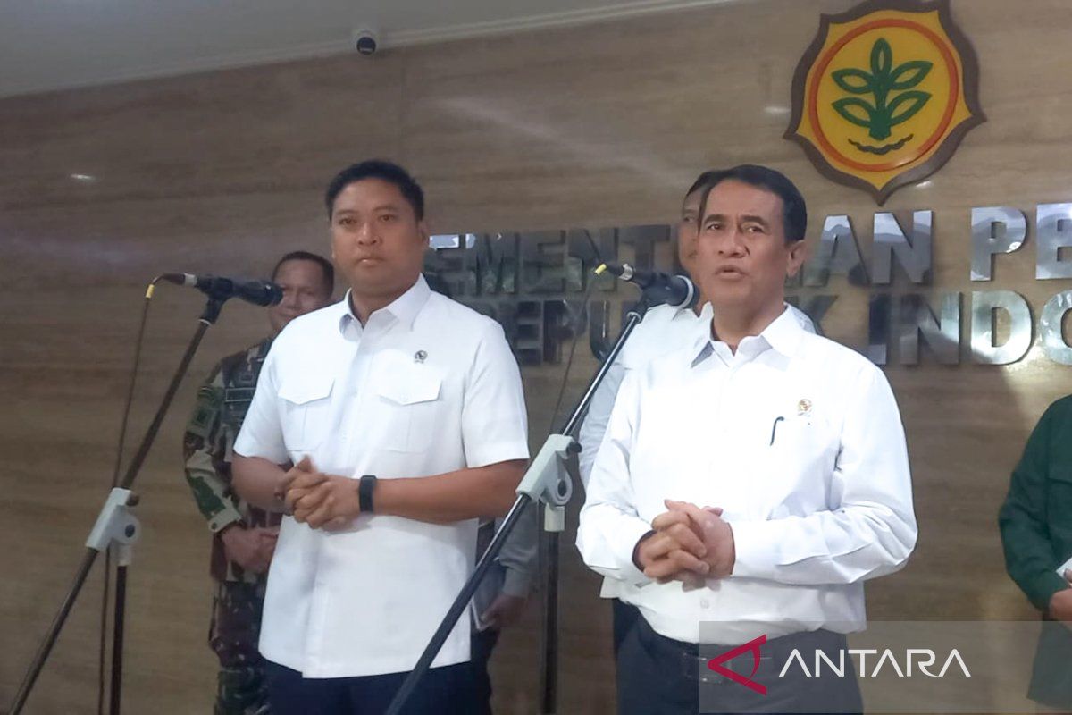 Pemerintah Targetkan Serapan 4 Juta Ton Cadangan Beras pada 2026
