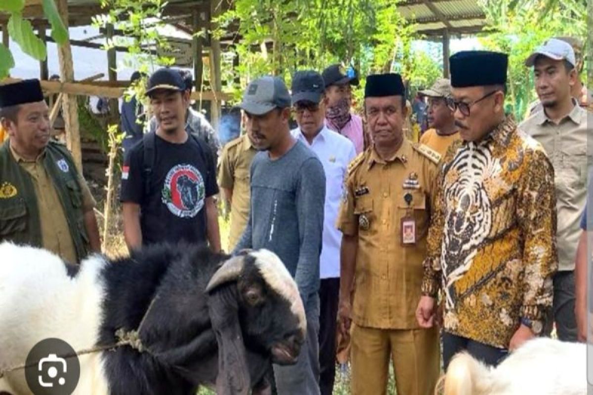 Dinas TPHP Sulbar dorong ekosistem hilirisasi peternakan secara terintegrasi