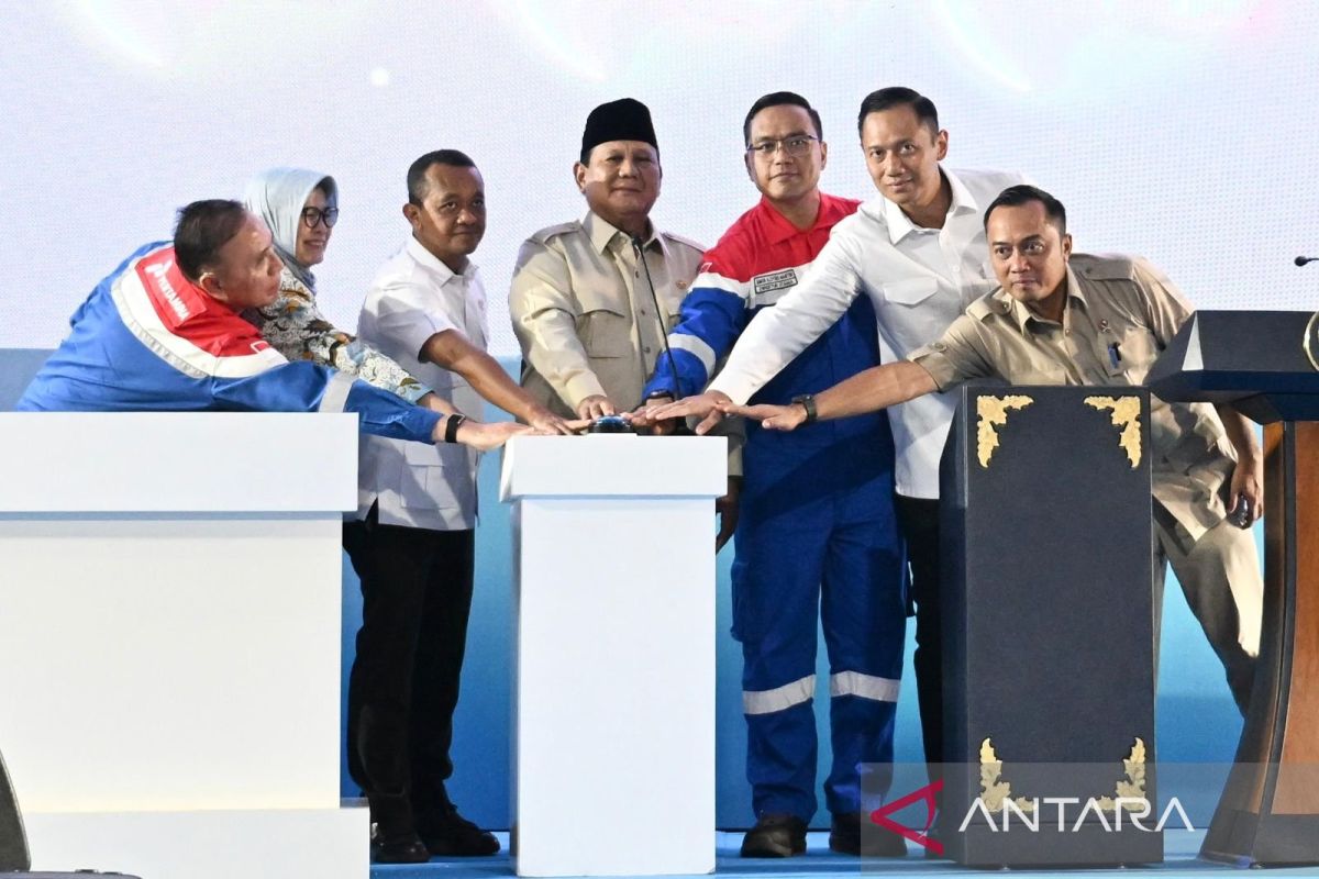 Prabowo ingin maksimalkan pemanfaatan PLTS, target 5 tahun mandiri