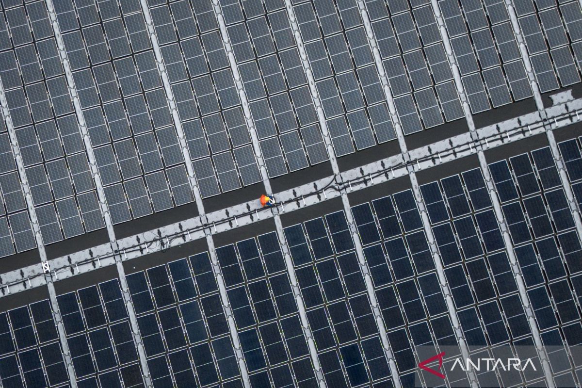 KNEKS usul Sukuk-dana sosial syariah bantu pengembangan energi surya