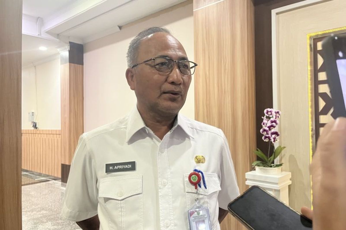 Pemprov Sumsel targetkan perbaikan Jembatan P6 Lalan Muba dirampungkan dalam tujuh bulan