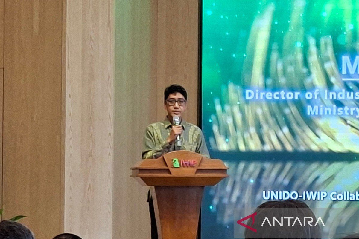 Kemenperin: Kemitraan UNIDO-Tsingshan perkuat kebijakan hilirisasi