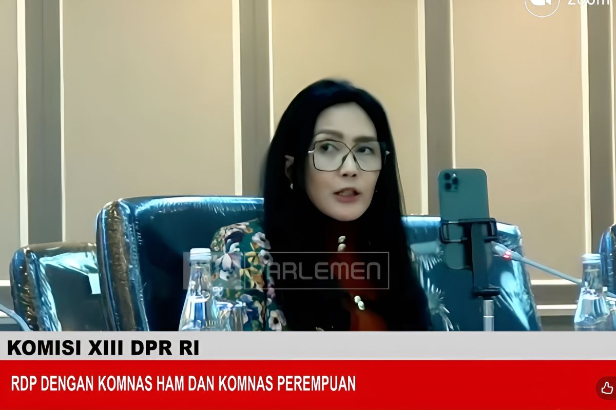 DPR: Reformasi tata kelola nasional program internship kedokteran