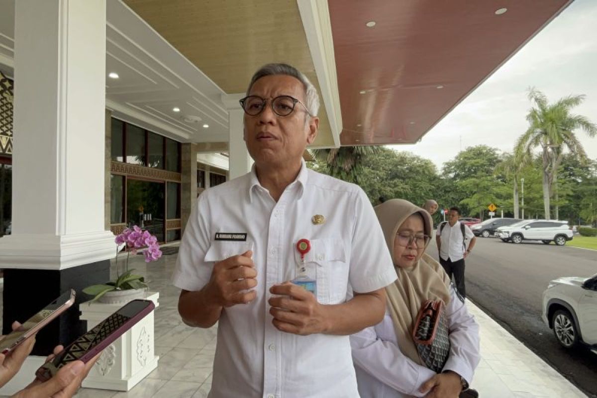 Sebanyak 4.000 hektare sawah di Sumsel siap panen meski terdampak banjir