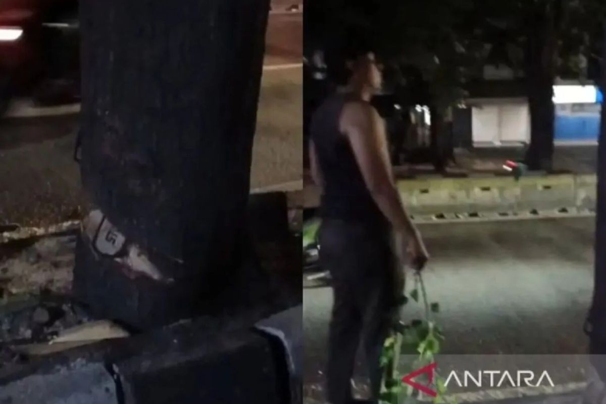 Tak ada izin penebangan pohon di Kebayoran Lama