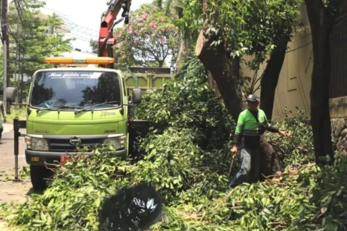 Oknum ASN terlibat penebangan ilegal di Jaksel terancam hukuman disiplin