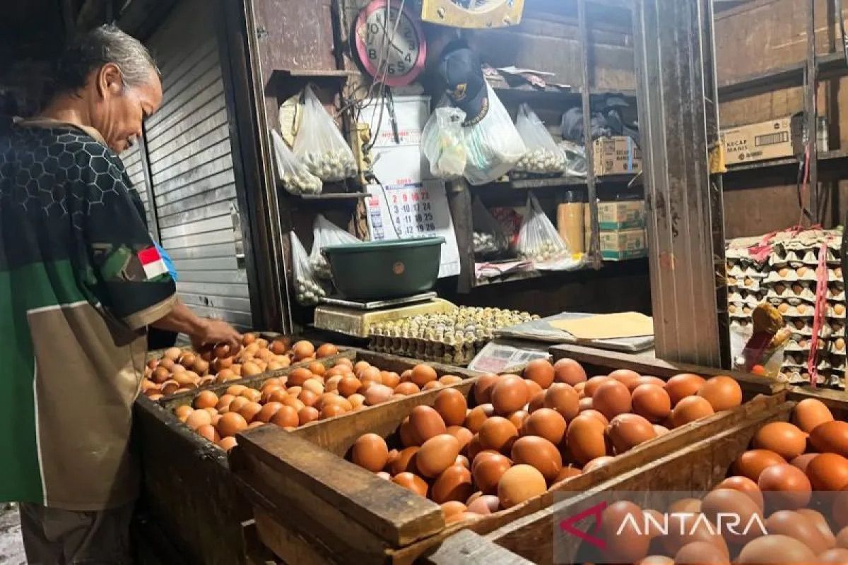 PIHPS: Harga cabai rawit merah Rp49.850/kg, telur ayam Rp32.100/kg