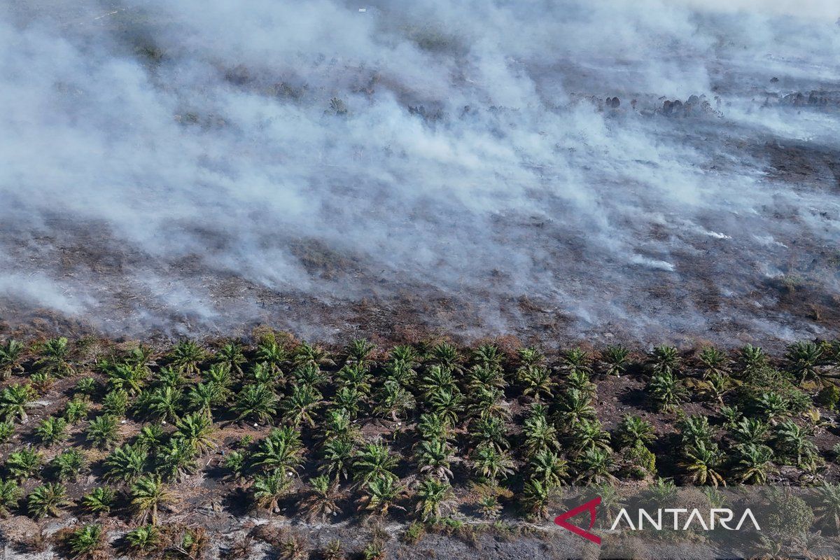 Karhutla di Aceh Barat semakin meluas, petugas terus lakukan upaya pemadaman