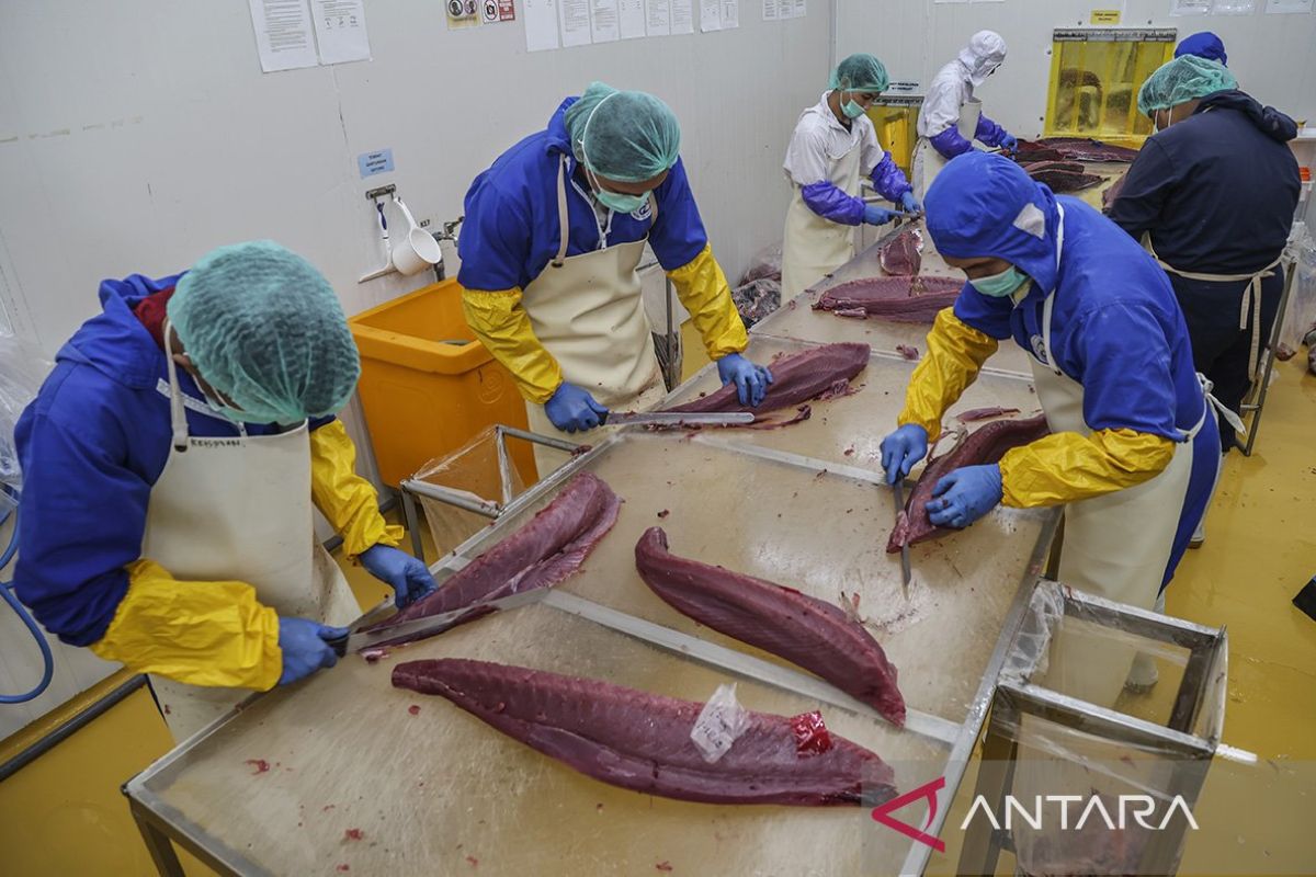 Indonesia secures export access to Türkiye, China