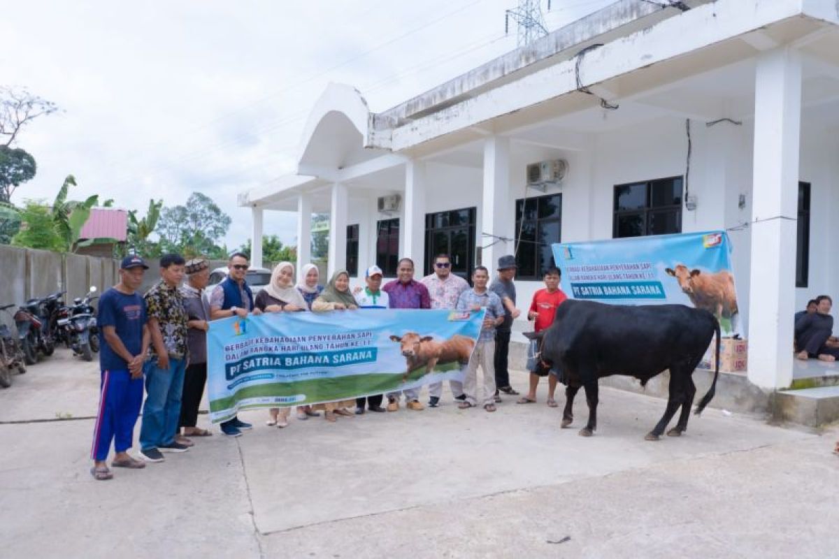 Momen HUT ke-11, Direktur Utama PT Satria Bahana Sarana serahkan bantuan sapi