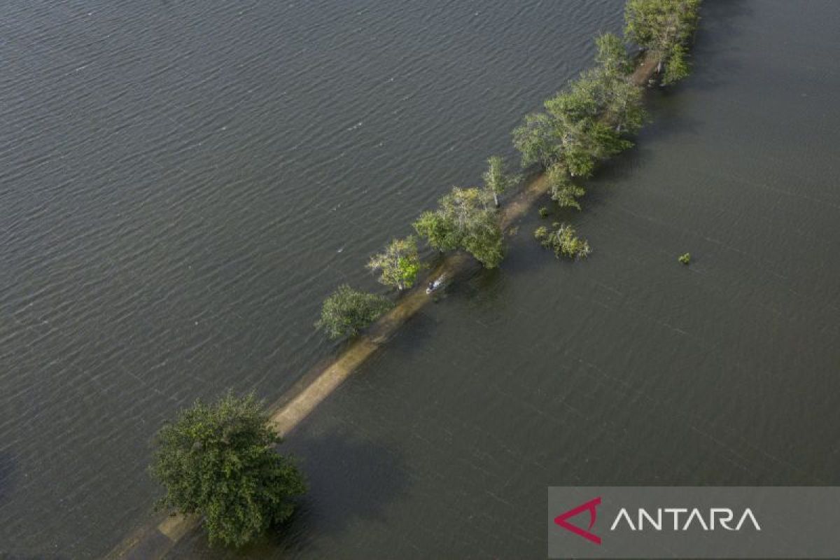 Banjir rendam 1.970 hektare sawah di Kudus
