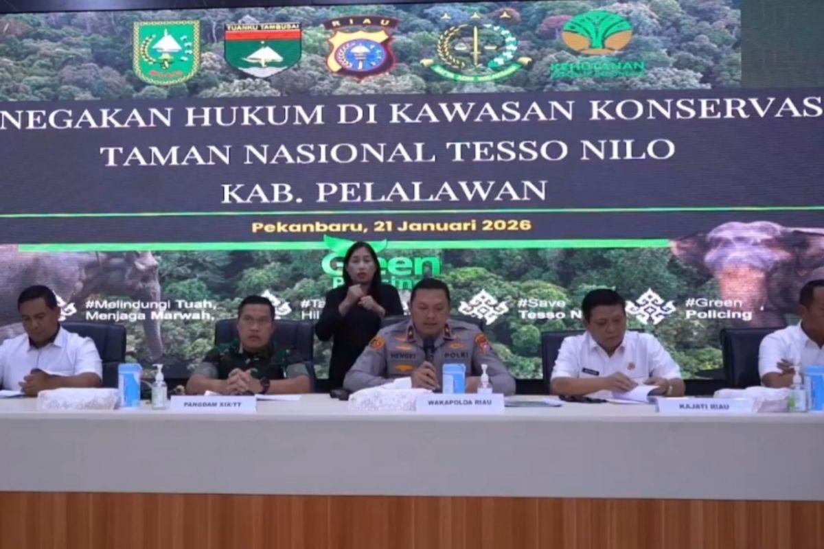 Polda Riau tahan tiga tersangka kuasai 270 ha lahan TN Tesso Nilo