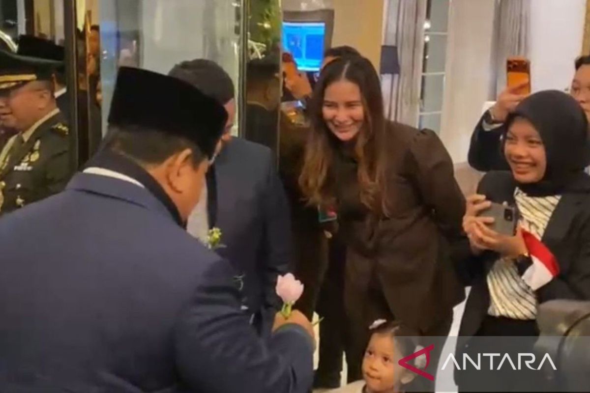 Diaspora harap hadirnya Prabowo di WEF buka keran investasi ke RI