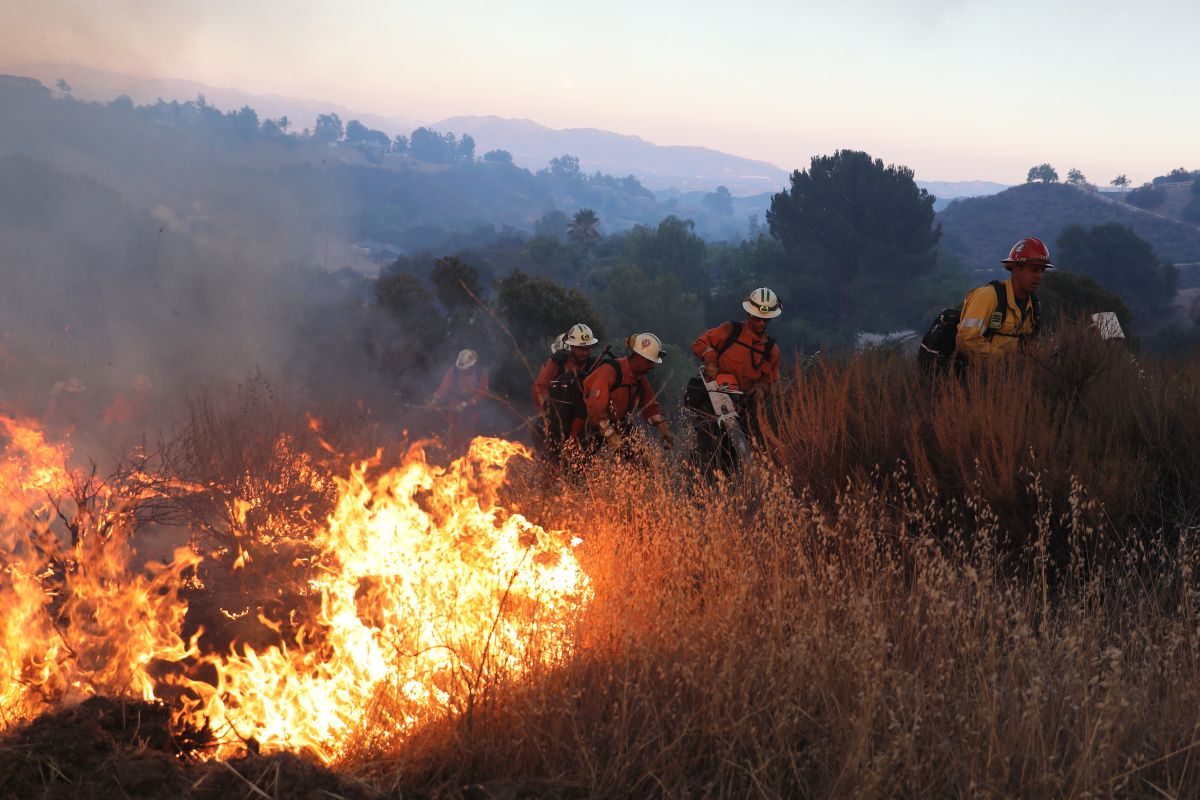 Studi kaitkan paparan asap kebakaran hutan dan lahan saat kehamilan di Southern California dengan peningkatan risiko autisme