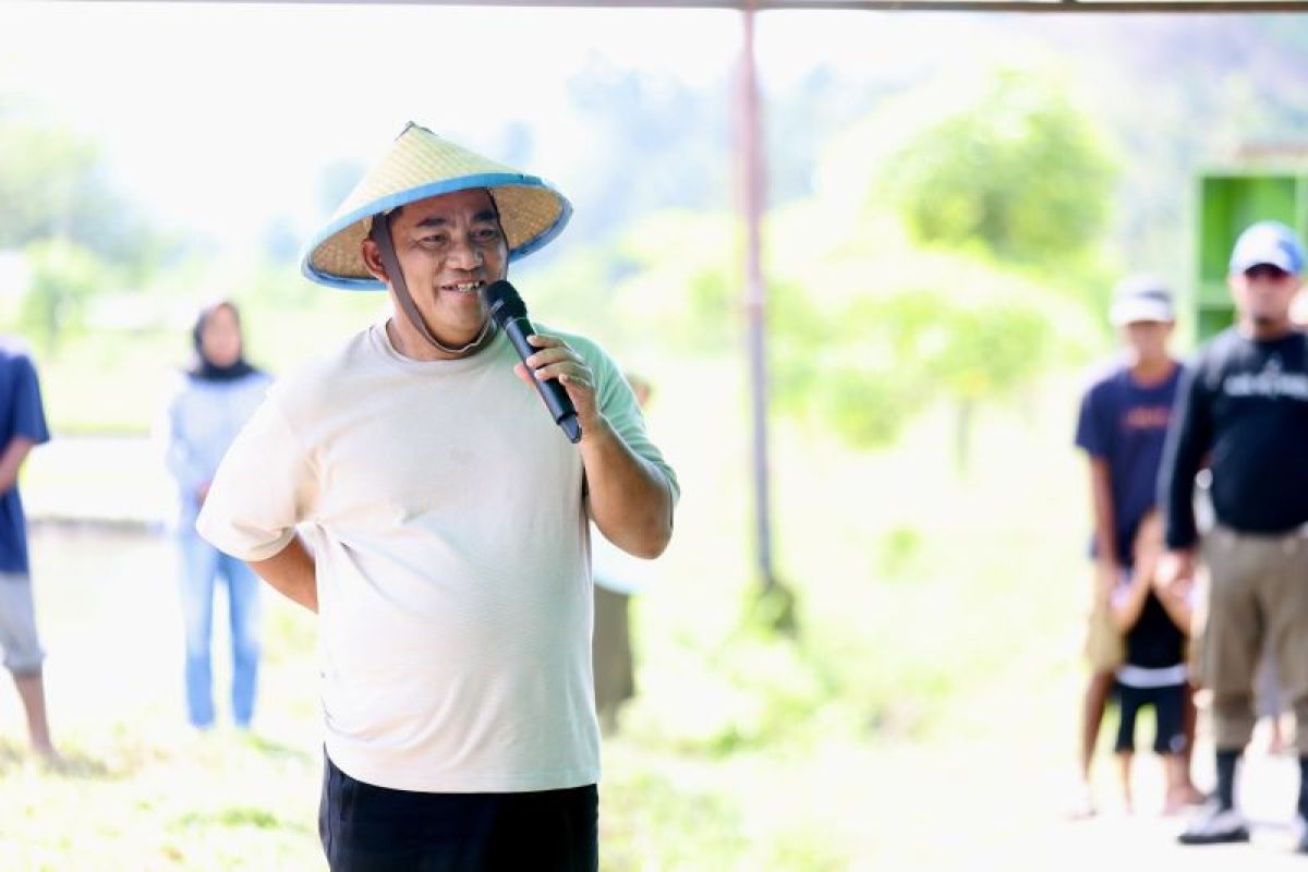Gubernur Sulut pastikan ketersediaan beras di daerah tercukupi