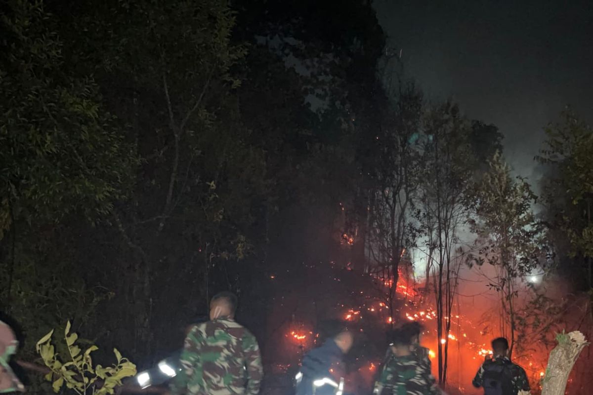 Lanud Hang Nadim cegah gangguan penerbangan akibat kebakaran lahan