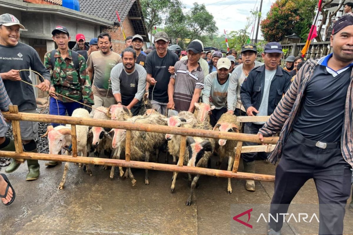 Tradisi Sadranan Dusun Pete Kandangan menyembelih 94 kambing