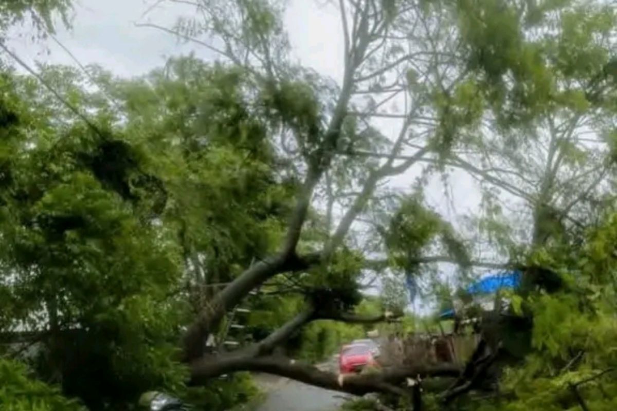 Pemkab Lombok Tengah sebut dana BTT di APBD 2026 capai Rp2,5 miliar