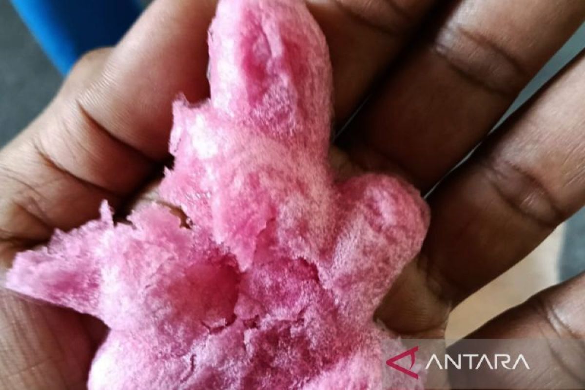 Polisi pastikan es gabus aman dan layak konsumsi