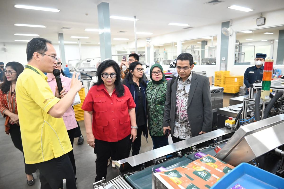 Komisi VII dorong penguatan jamu lokal UMKM lewat pembinaan