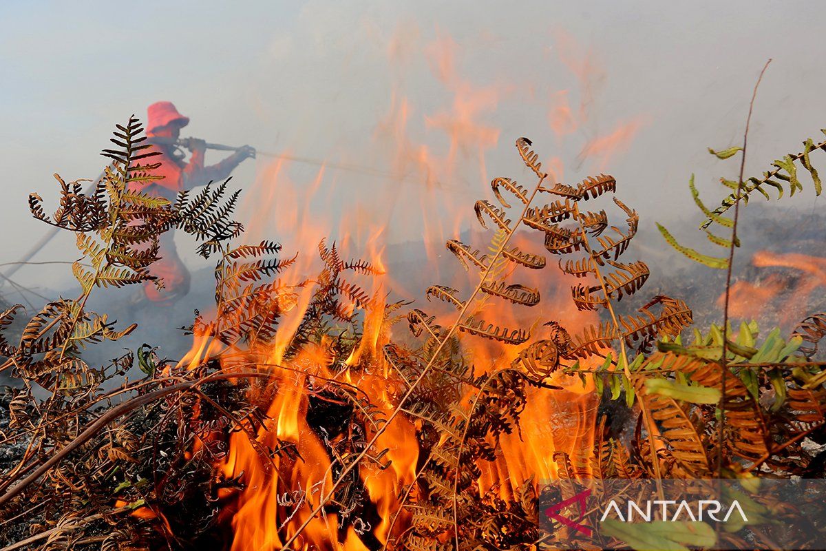 Kebakaran hutan dan lahan gambut di Aceh Barat meluas hingga 17 hektare