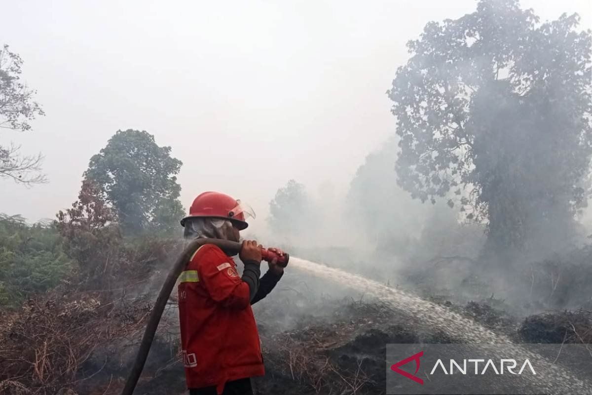 BPBD: Luas kebakaran lahan di Aceh Barat mencapai 19 Ha