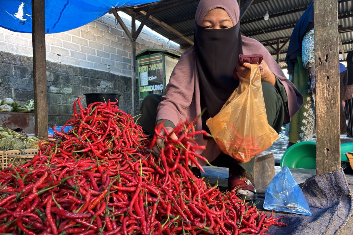 Aktivitas ekonomi di Pasar Pandan Tapanuli Tengah mulai normal