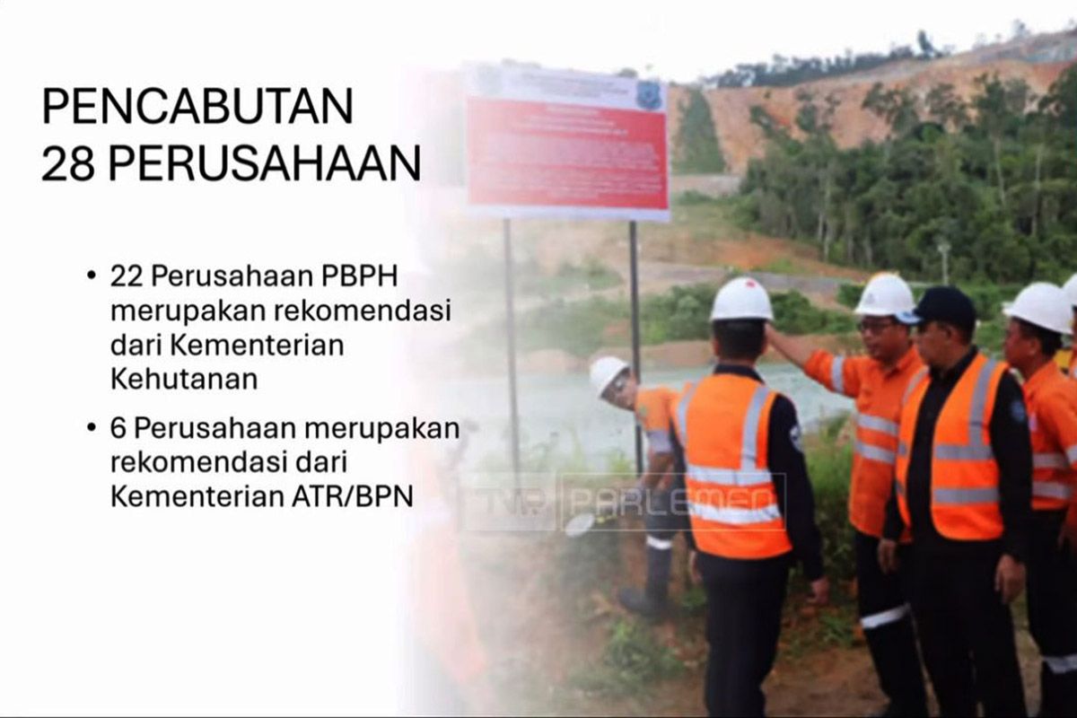 Langgar lingkungan, 28 perusahaan di Sumatra dicabut izin usahanya