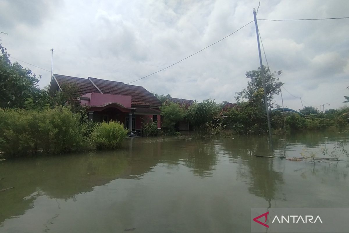 Intensitas hujan turun, jumlah desa terdampak banjir di Pati berkurang jadi 58 desa