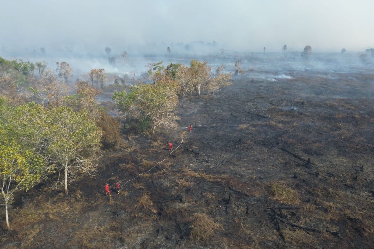 Kemenhut kerahkan Manggala Agni padamkan karhutla di Sumatra