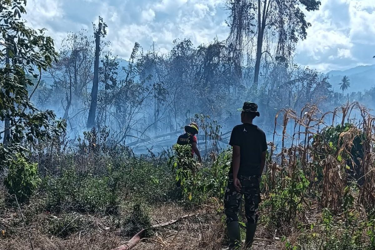 BNPB sebut Parigi Moutong dilanda kekeringan dan karhutla