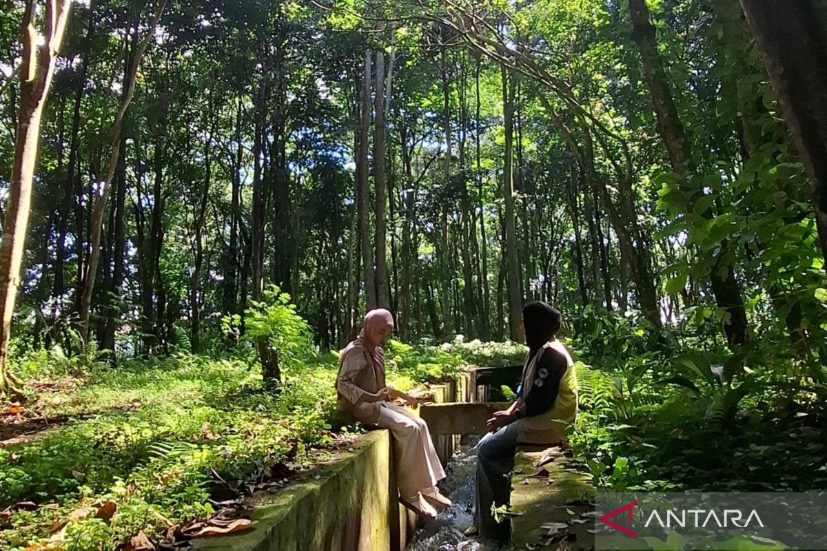 Dispar Rejang Lebong optimalkan pemanfaatan potensi wisata hutan kota