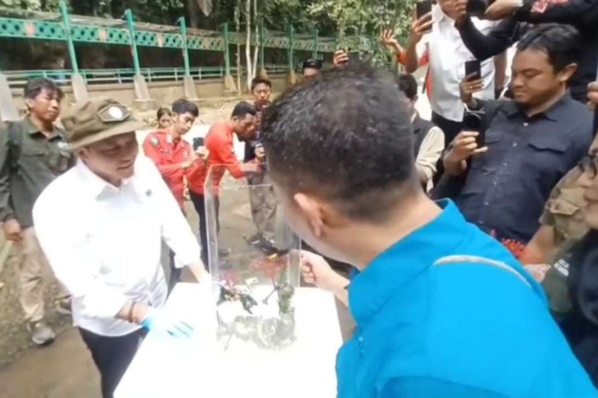 Menhut: Lestarikan keanekaragaman hayati  dan  kerajaan kupu-kupu TN Bantimurung Bulusaraung