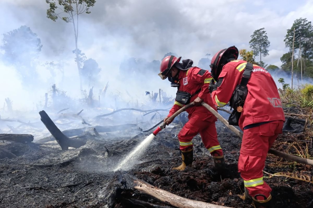 Kemenhut intensif padamkan kebakaran hutan di sejumlah wilayah Kalbar