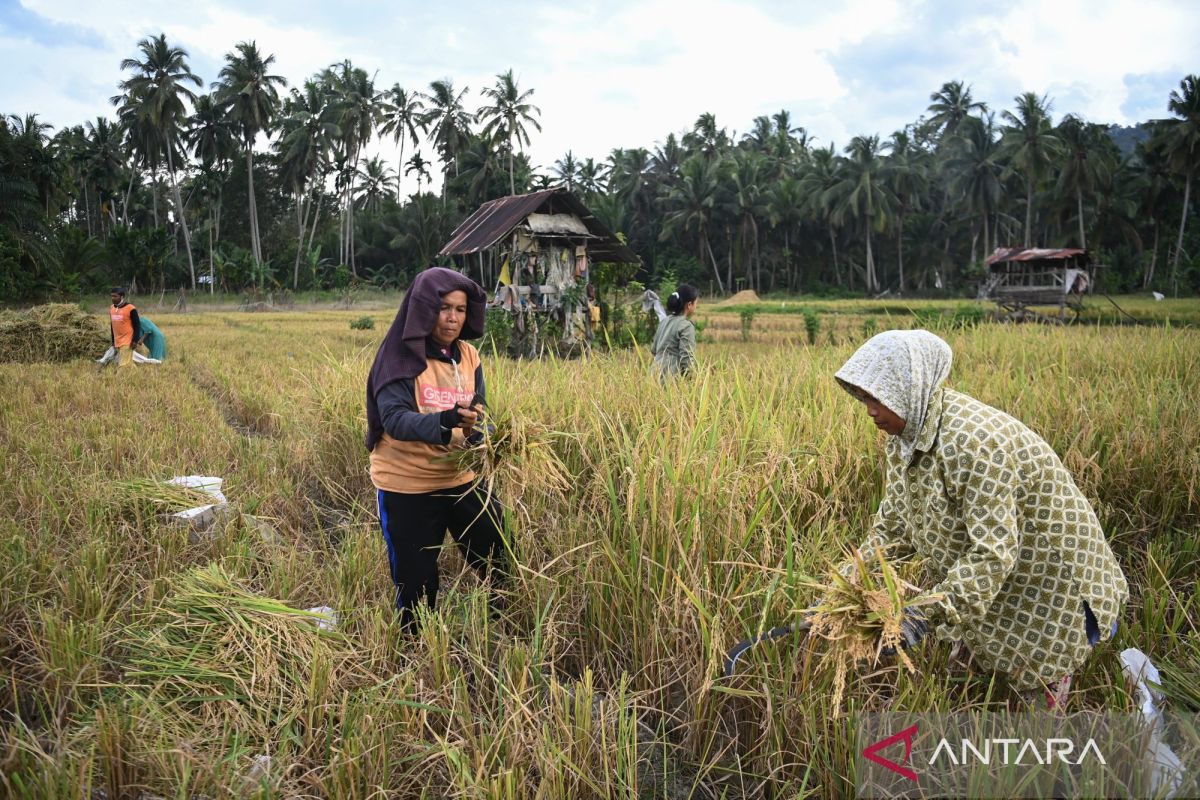 Ekonom: IJK jaga kualitas restrukturisasi kredit korban bencana
