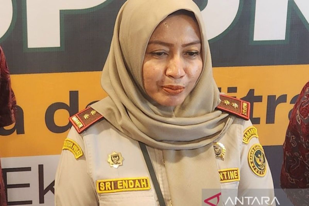 BKHIT Sumsel sertifikasi kopi robusta Pagaralam untuk masuk Australia